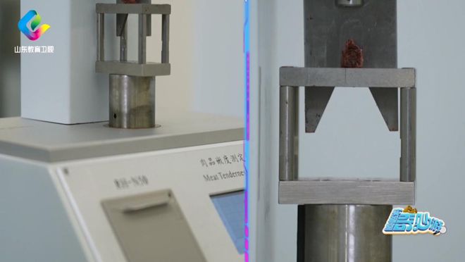 走进海尔冰箱感受保鲜创新力量！m6米乐app《实验室奇妙游》(图9)